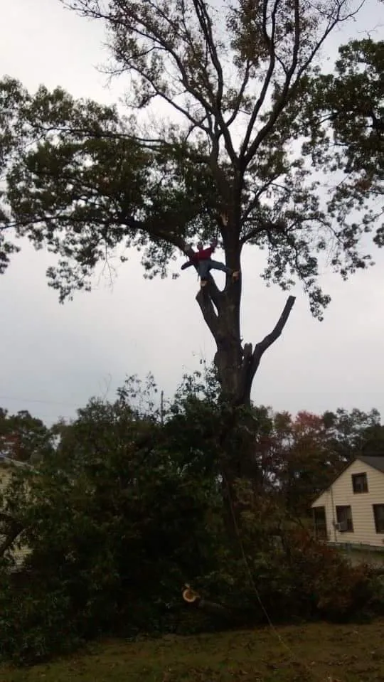 Trusted landscape installation in South River, NJ - Mic Maintenance