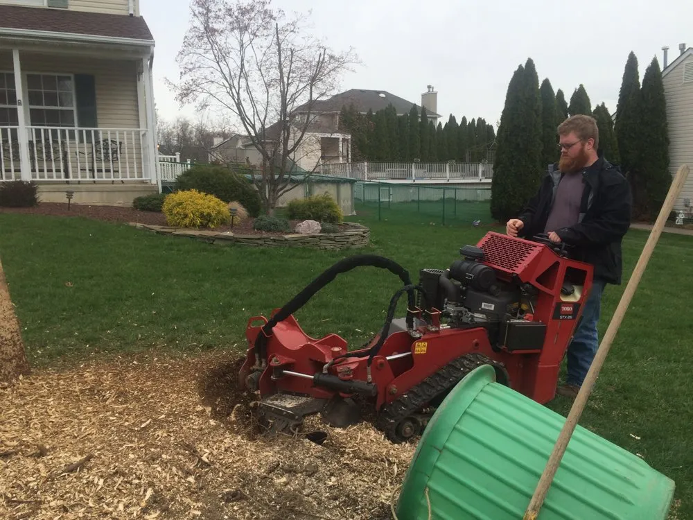 Reliable yard cleanup service experts serving South River, NJ - Mic Maintenance