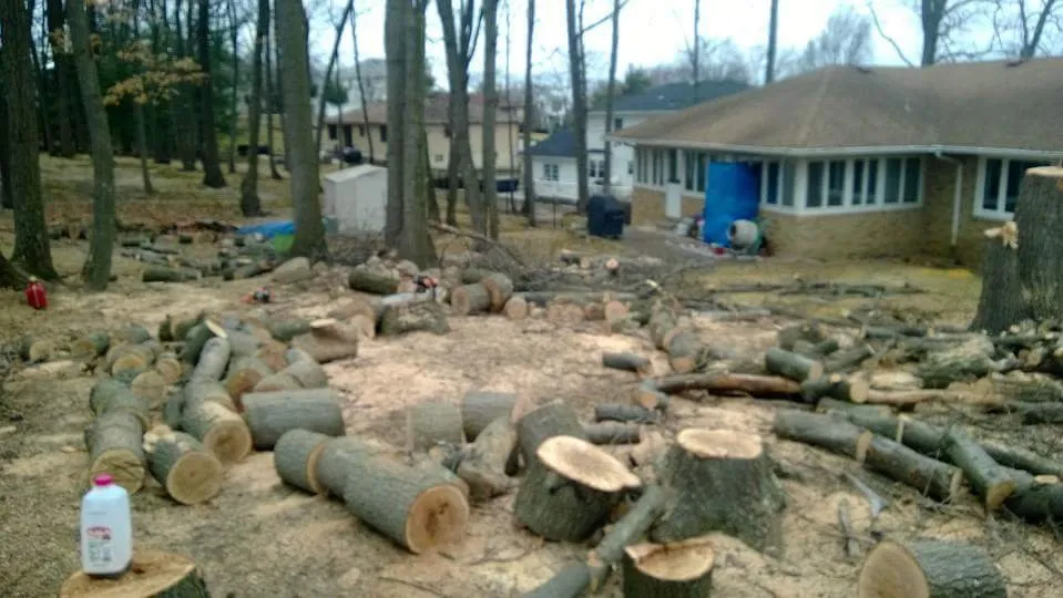 Top-rated yard maintenance for beautiful yards across South River, NJ - Mic Maintenance