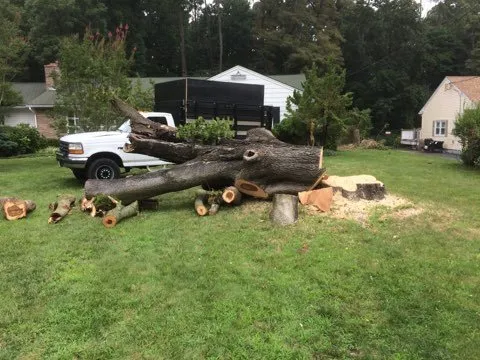 Trusted garden landscaping near you across South River, NJ - Mic Maintenance