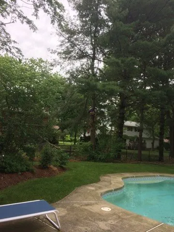 Reliable yard cleanup service for outdoor upgrades across South River, NJ - Mic Maintenance