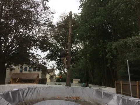 Custom landscape design for year-round maintenance in South River, NJ by Mic Maintenance