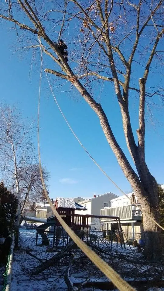 Custom lawn care service in South River, NJ by Mic Maintenance