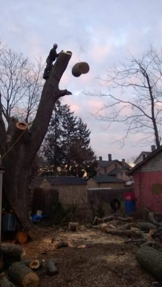 Affordable landscape design in South River, NJ by Mic Maintenance