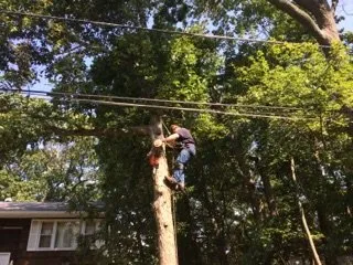 Custom landscaping services for year-round maintenance across South River, NJ - Mic Maintenance