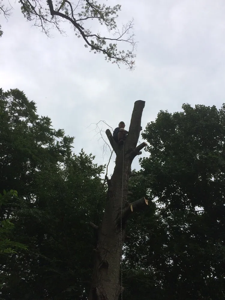 Reliable garden landscaping in South River, NJ by Mic Maintenance