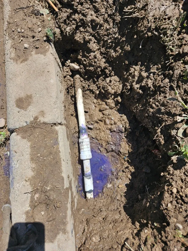 Custom landscaping services for residential properties across Magna, UT - Mica landscape