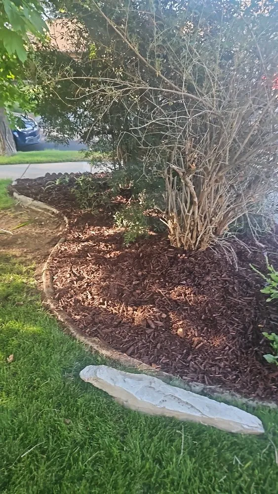 Trusted residential landscaping experts serving Magna, UT - Mica landscape