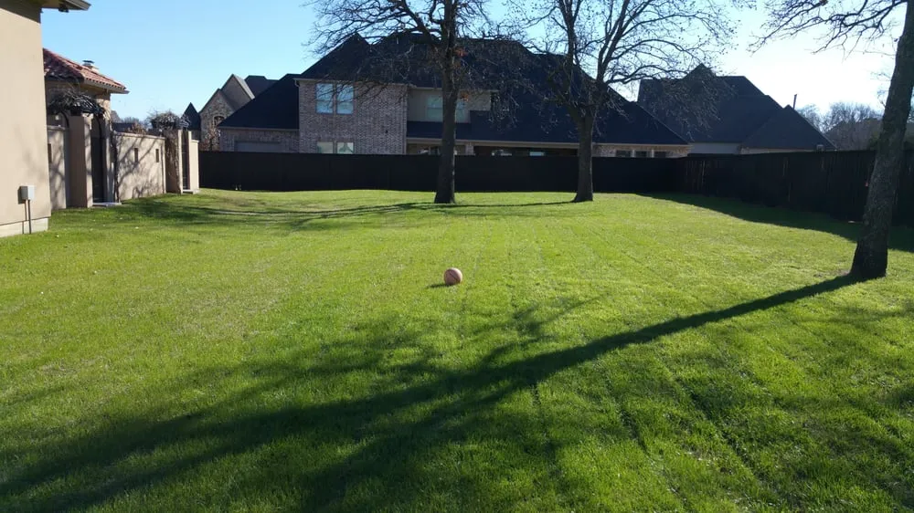 Top-rated yard maintenance with custom design across Mansfield, TX - Micah's Lawn Care Solutions