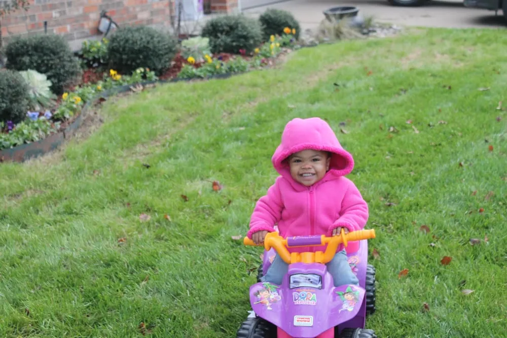 Top-rated lawn care service in Mansfield, TX by Micah's Lawn Care Solutions