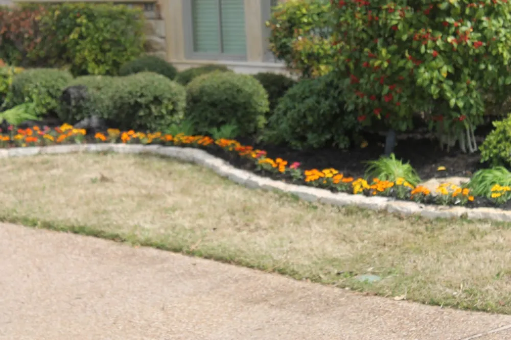 Local yard maintenance near you across Mansfield, TX - Micah's Lawn Care Solutions