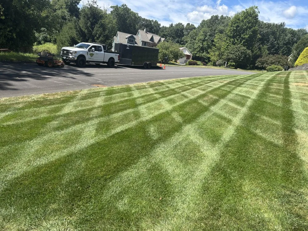 Affordable yard cleanup service with custom design in Burnt Hills, NY by Miceli’s Lawn Care