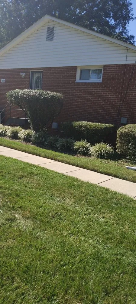 Top-rated yard maintenance with custom design in White Plains, MD by Michael & Dads Landscaping