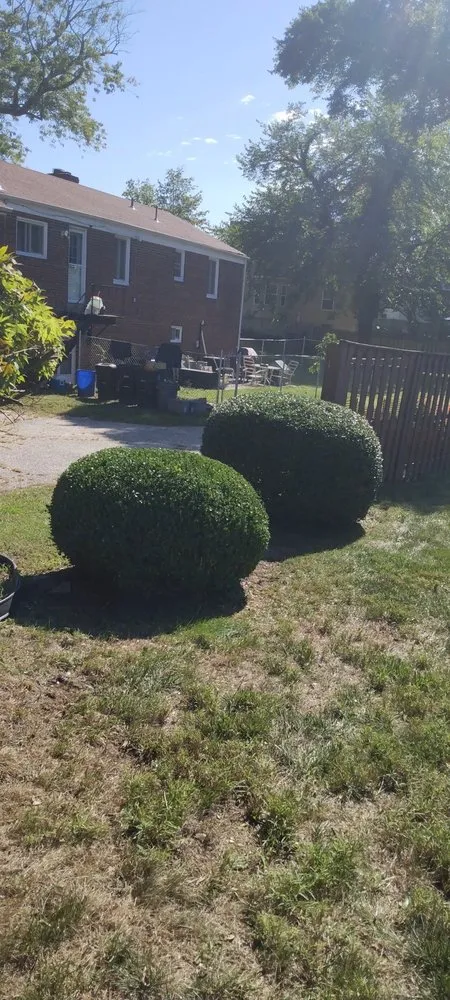 Trusted outdoor landscaping in White Plains, MD by Michael & Dads Landscaping