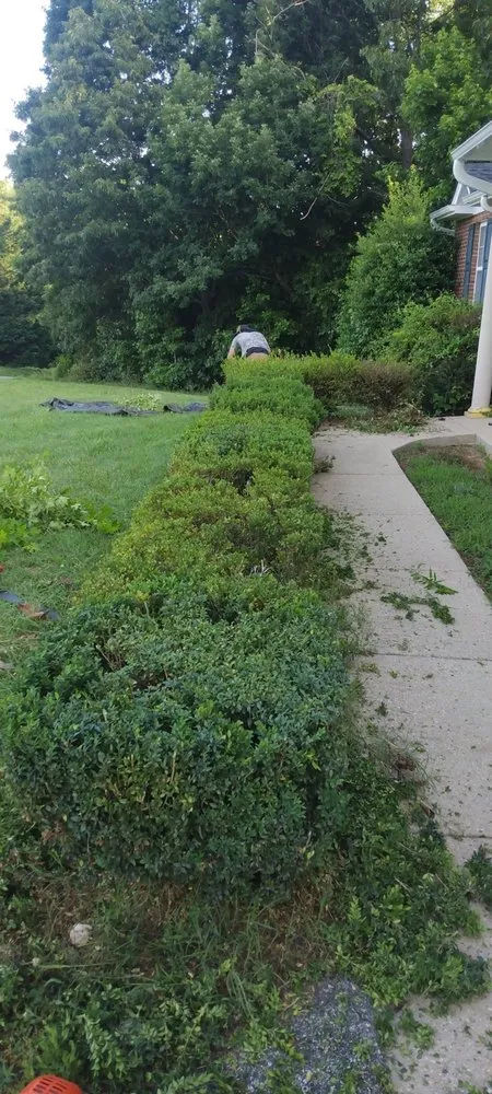 Expert yard maintenance in White Plains, MD - Michael & Dads Landscaping