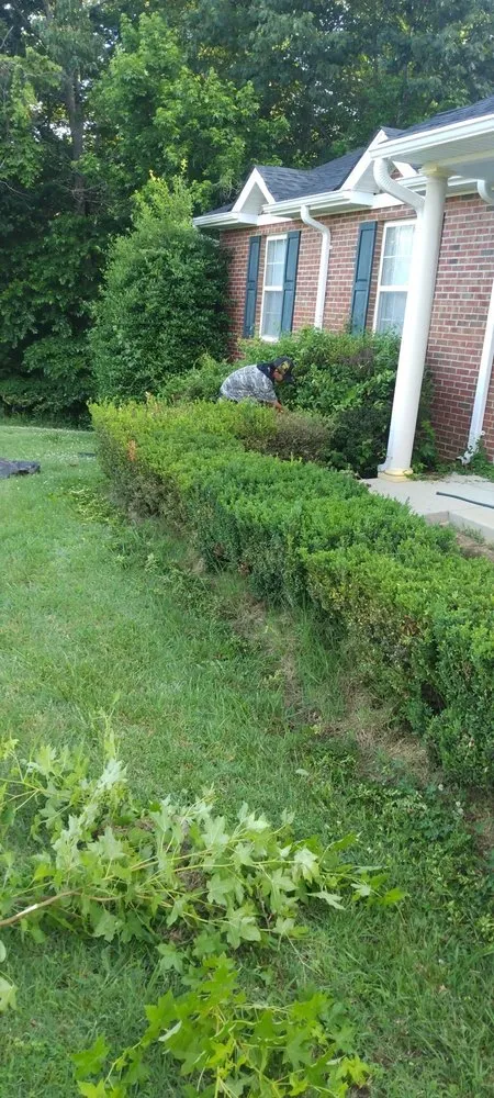 Top-rated lawn care service in White Plains, MD by Michael & Dads Landscaping