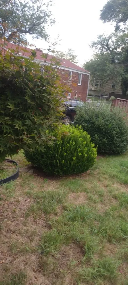 Custom yard maintenance experts serving White Plains, MD - Michael & Dads Landscaping