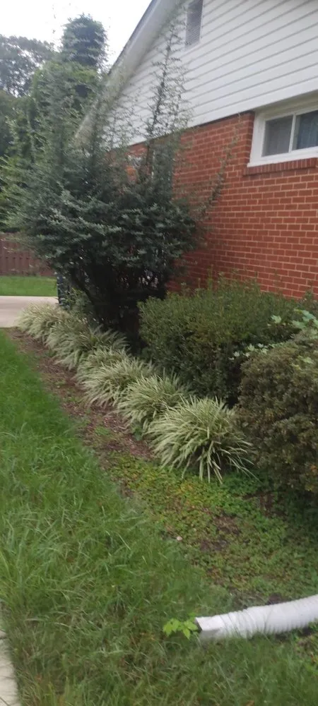 Professional yard maintenance for homes in White Plains, MD by Michael & Dads Landscaping