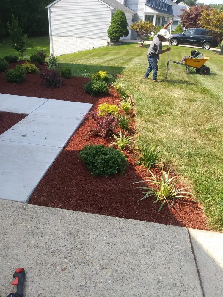 Trusted yard cleanup service in White Plains, MD by Michael & Dads Landscaping
