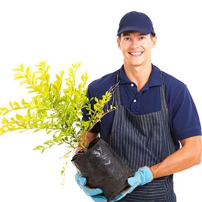 Expert lawn care service in White Plains, MD - Michael & Dads Landscaping