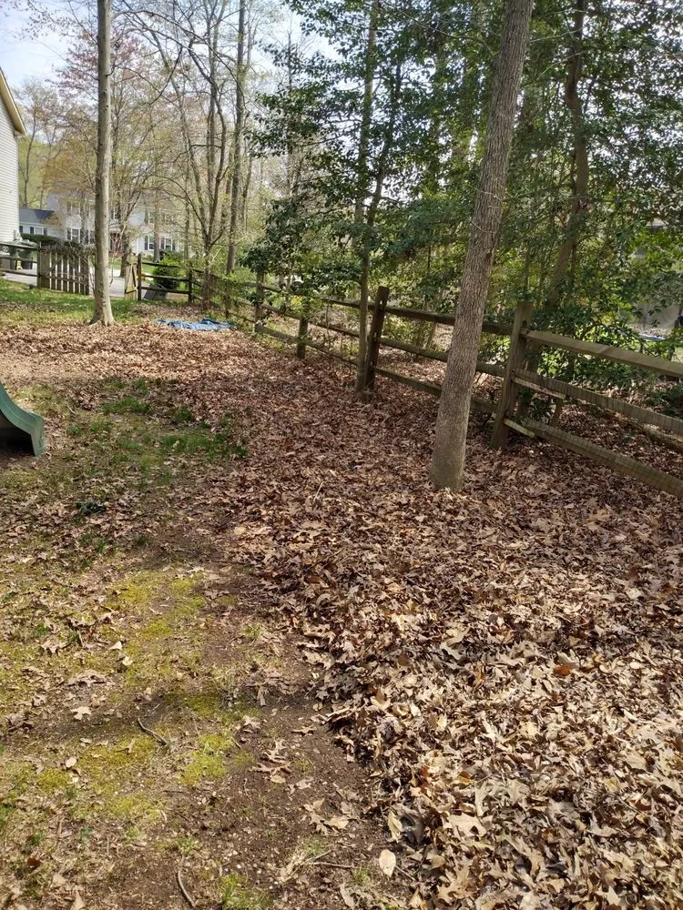 Custom lawn care service for beautiful yards in White Plains, MD by Michael & Dads Landscaping