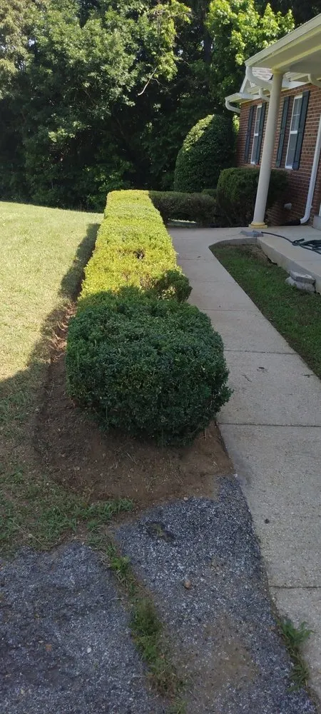 Custom landscape installation in White Plains, MD - Michael & Dads Landscaping