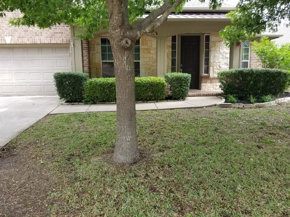 Reliable outdoor landscaping in McKinney, TX - Michael & Son Landscapes