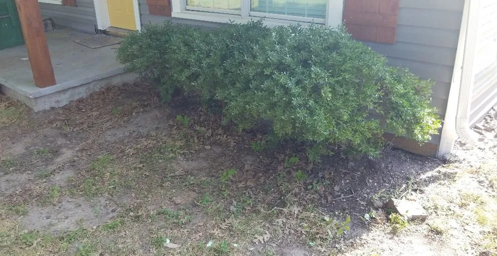 Custom outdoor landscaping experts serving McKinney, TX - Michael & Son Landscapes