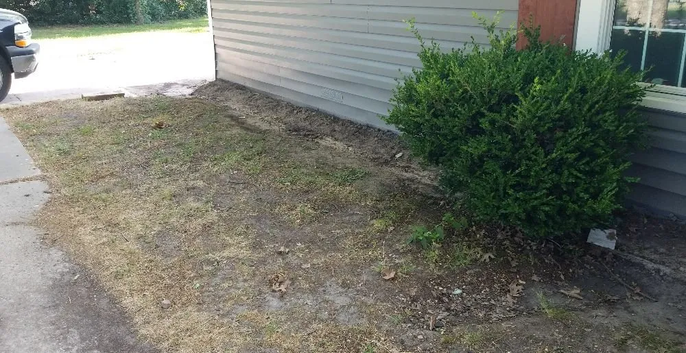 Top-rated yard cleanup service experts serving McKinney, TX - Michael & Son Landscapes