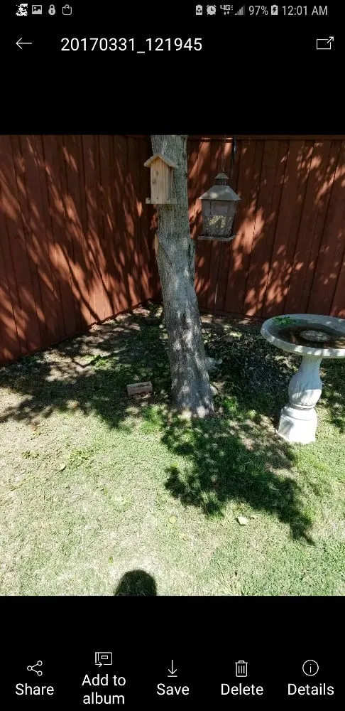 Top-rated residential landscaping in McKinney, TX - Michael & Son Landscapes