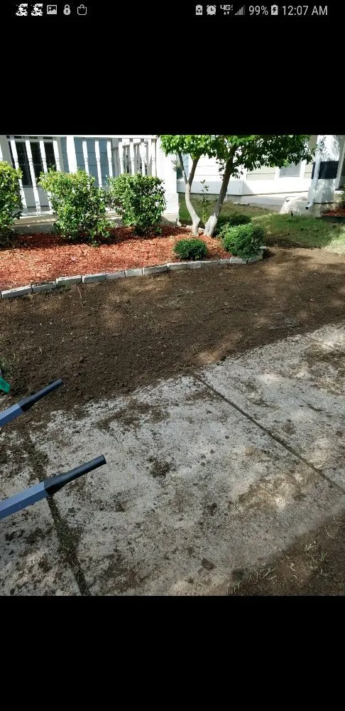 Local landscaping services experts serving McKinney, TX - Michael & Son Landscapes