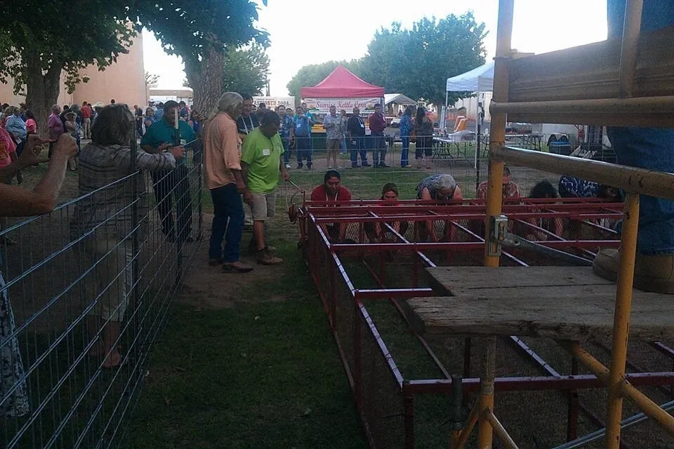 Local landscaping services for residential properties across Deming, NM - Michael A. Greco Landscaping & Repair