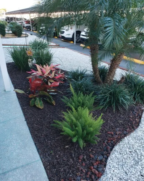 Affordable lawn care service in Gulfport, FL - Michael Bosch Landscaping