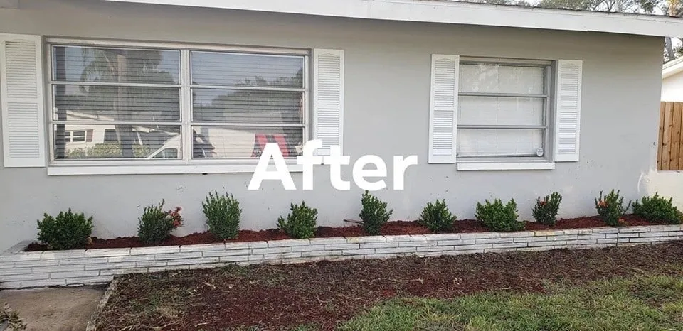 Top-rated landscaping services experts serving Gulfport, FL - Michael Bosch Landscaping