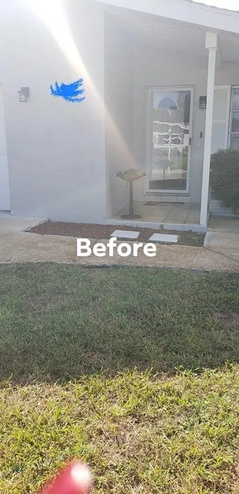 Professional residential landscaping experts serving Gulfport, FL - Michael Bosch Landscaping