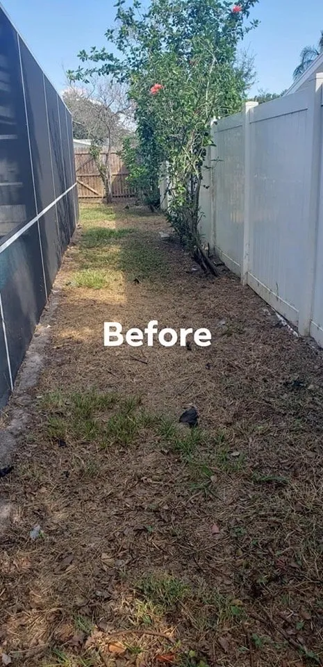 Top-rated garden landscaping experts serving Gulfport, FL - Michael Bosch Landscaping