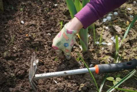 Expert landscape installation for beautiful yards across Gulfport, FL - Michael Bosch Landscaping