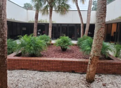 Local lawn care service in Gulfport, FL by Michael Bosch Landscaping