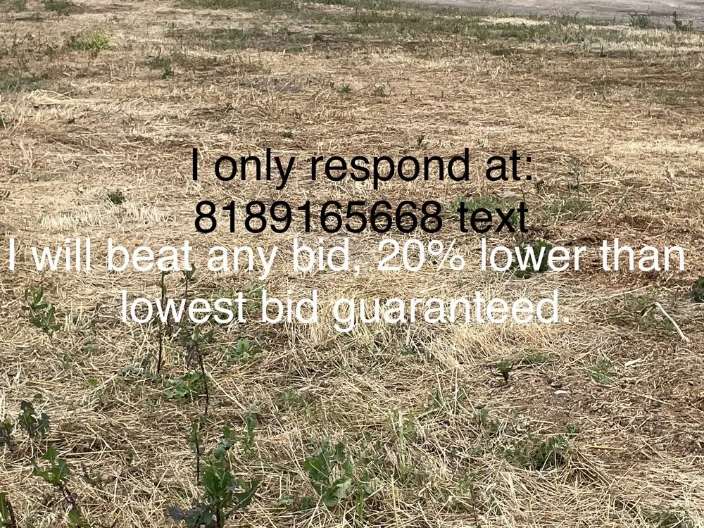 Professional landscaping services with custom design across Moorpark, CA - Michael Fares’s landscaping