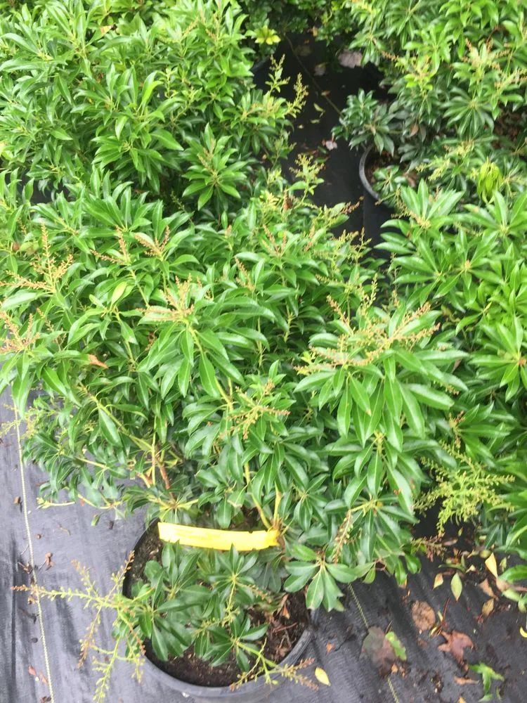 Professional landscape design experts serving Conshohocken, PA - Michael Friel Landscaping