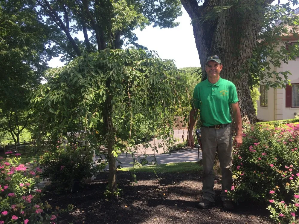 Affordable yard maintenance for outdoor upgrades in Conshohocken, PA by Michael Friel Landscaping