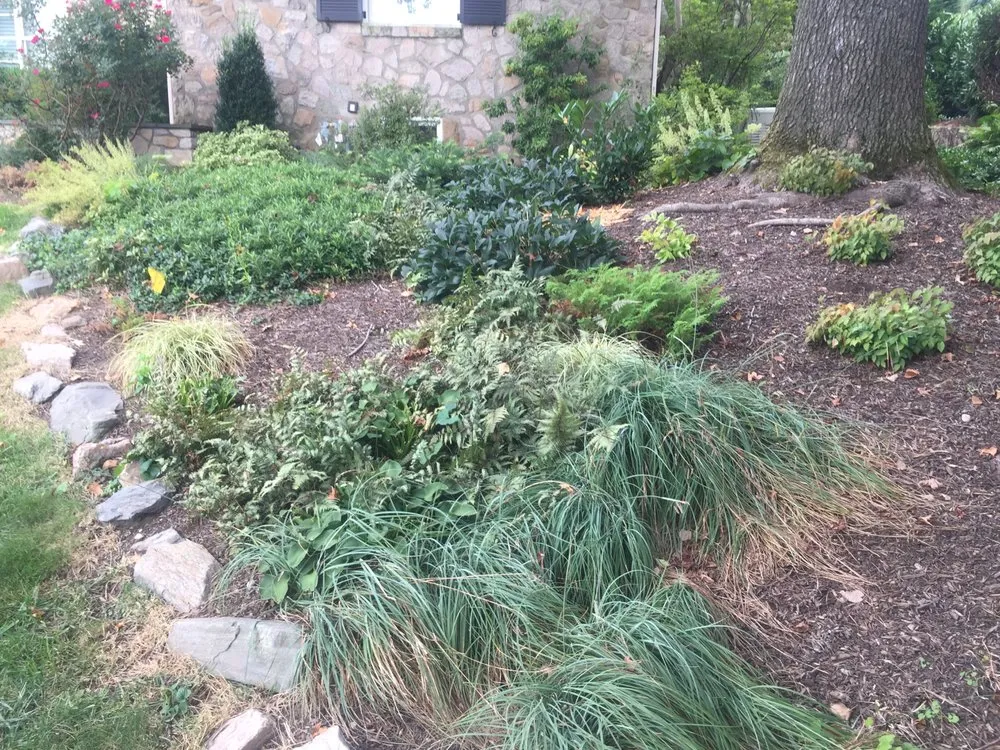 Professional yard maintenance experts serving Conshohocken, PA - Michael Friel Landscaping