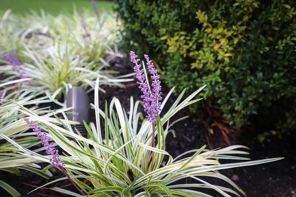 Trusted residential landscaping for homes across Olive Branch, MS - Michael Hatcher & Associates