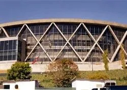 Trusted lawn care service for beautiful yards across San Francisco, CA - Michael Heavey Construction