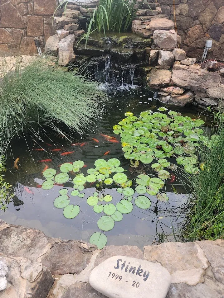 Local yard maintenance for beautiful yards across Lee's Summit, MO - Michael Jackson Hardscaping