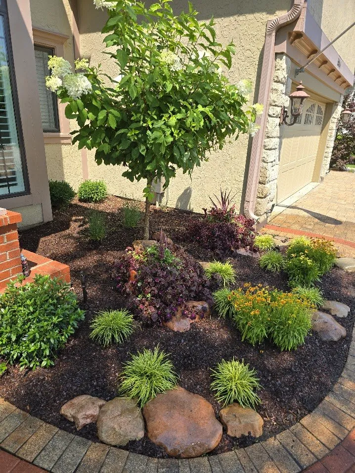 Professional landscape installation in Lee's Summit, MO by Michael Jackson Hardscaping
