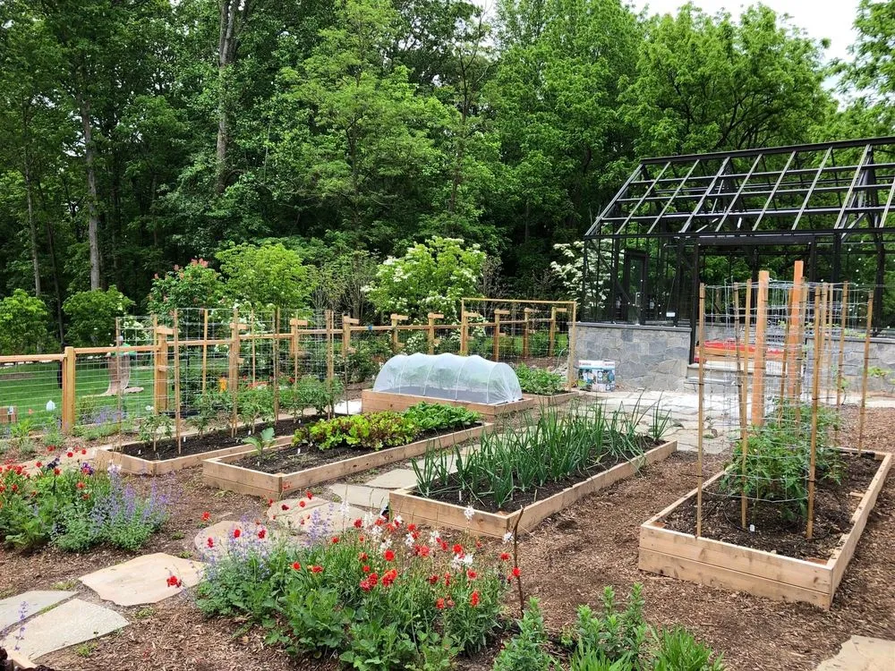 Reliable outdoor landscaping in San Mateo, CA by Michael King Gardening Service