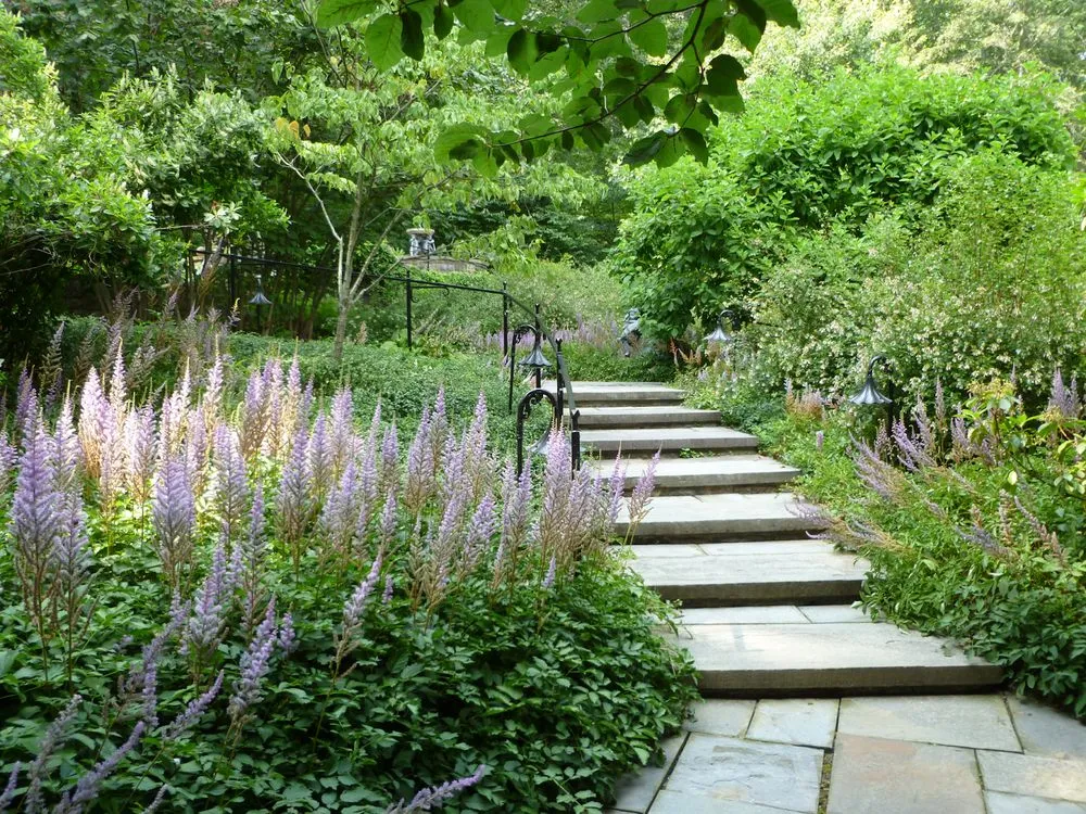 Professional yard maintenance near you in San Mateo, CA by Michael King Gardening Service