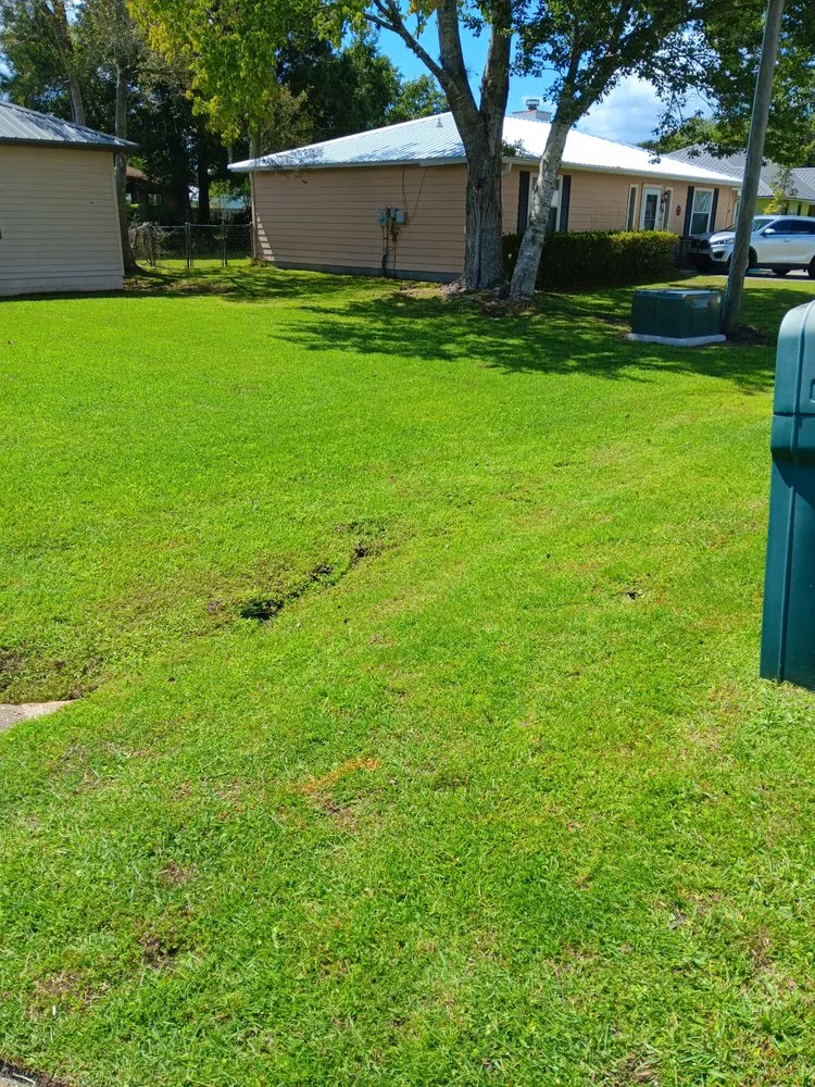 Top-rated residential landscaping in Crescent City, FL - Michael Knox Umbrella Services