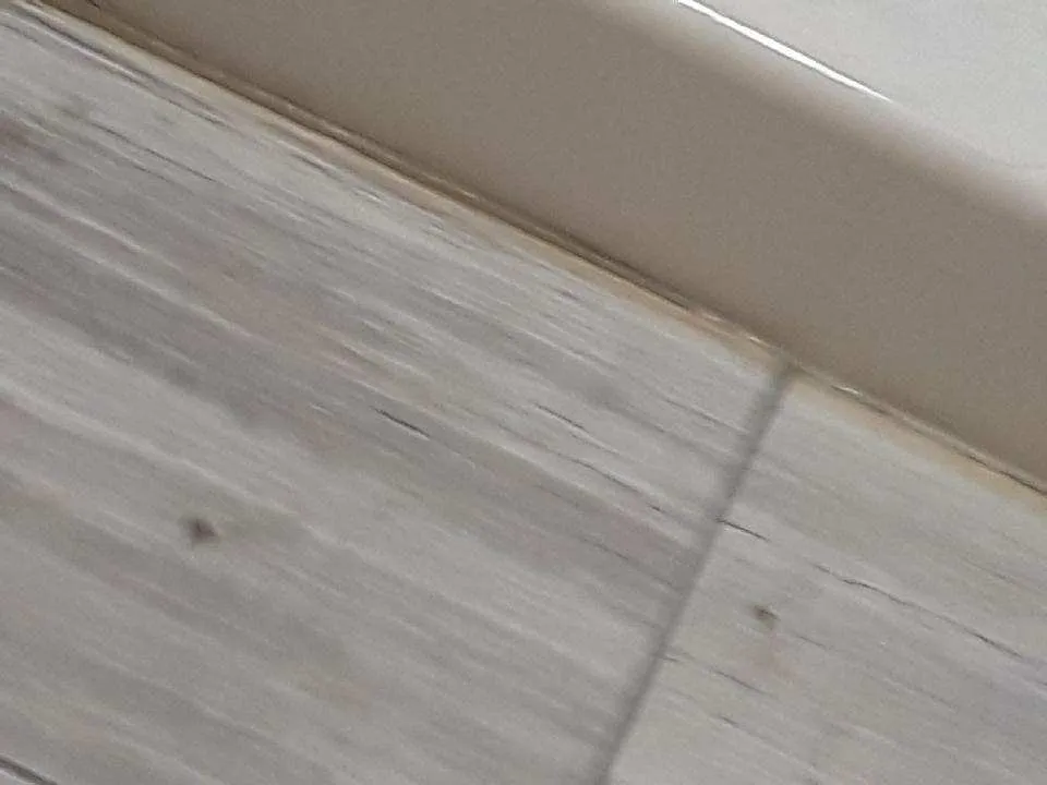 Expert residential landscaping near you across Crescent City, FL - Michael Knox Umbrella Services